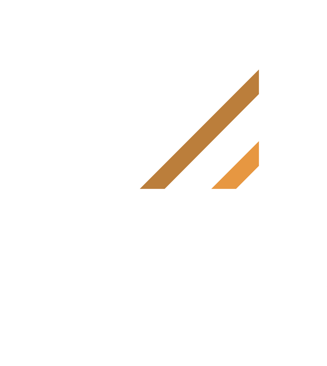 Zeeks Homes Logo